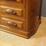 Art Nouveau Mahogany Desk Plate by Emile Gallé