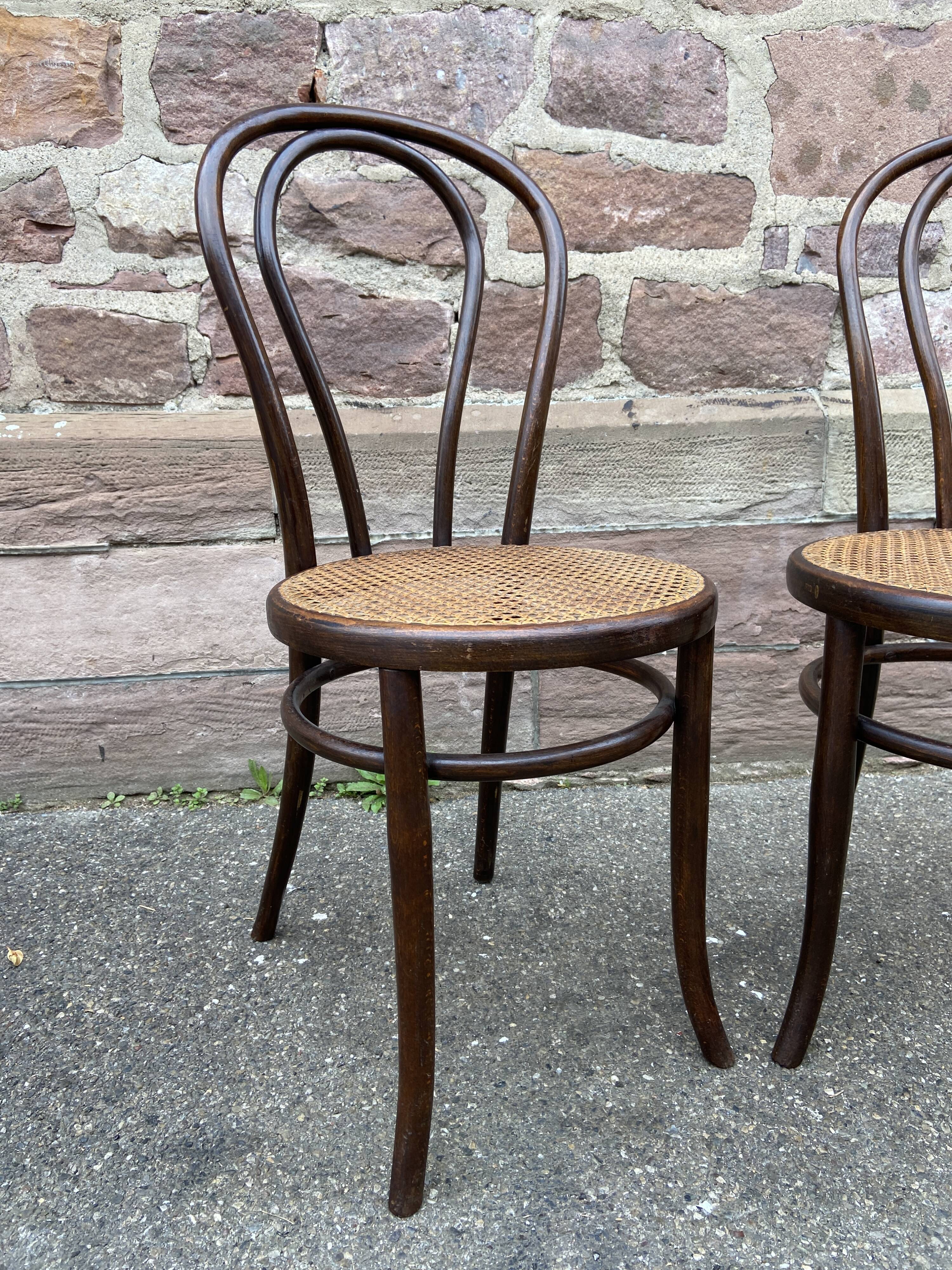Pair of chairs bentwood Fischel Nr 18 vintage 1920