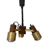 Extendable spotlight ceiling light