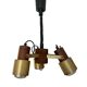 Extendable spotlight ceiling light