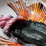 Large shell-shaped dish 1950s - 1960s