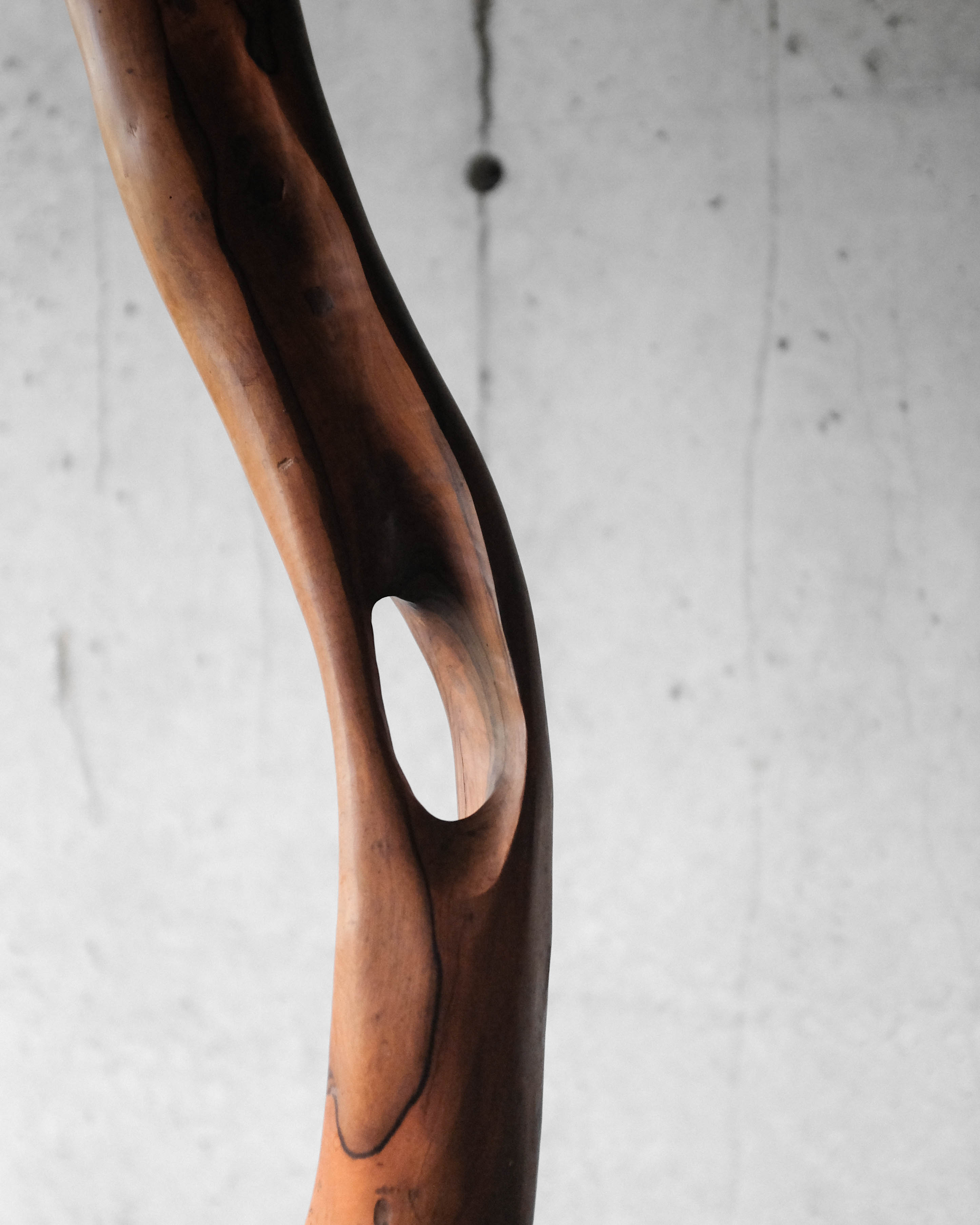 Massive olive tree lamppost - 1960