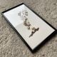 Tableau en ailes de papillons