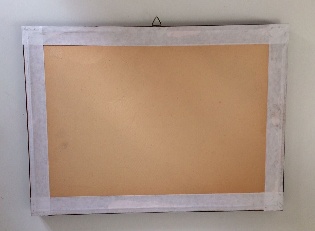 Butterflies naturalized