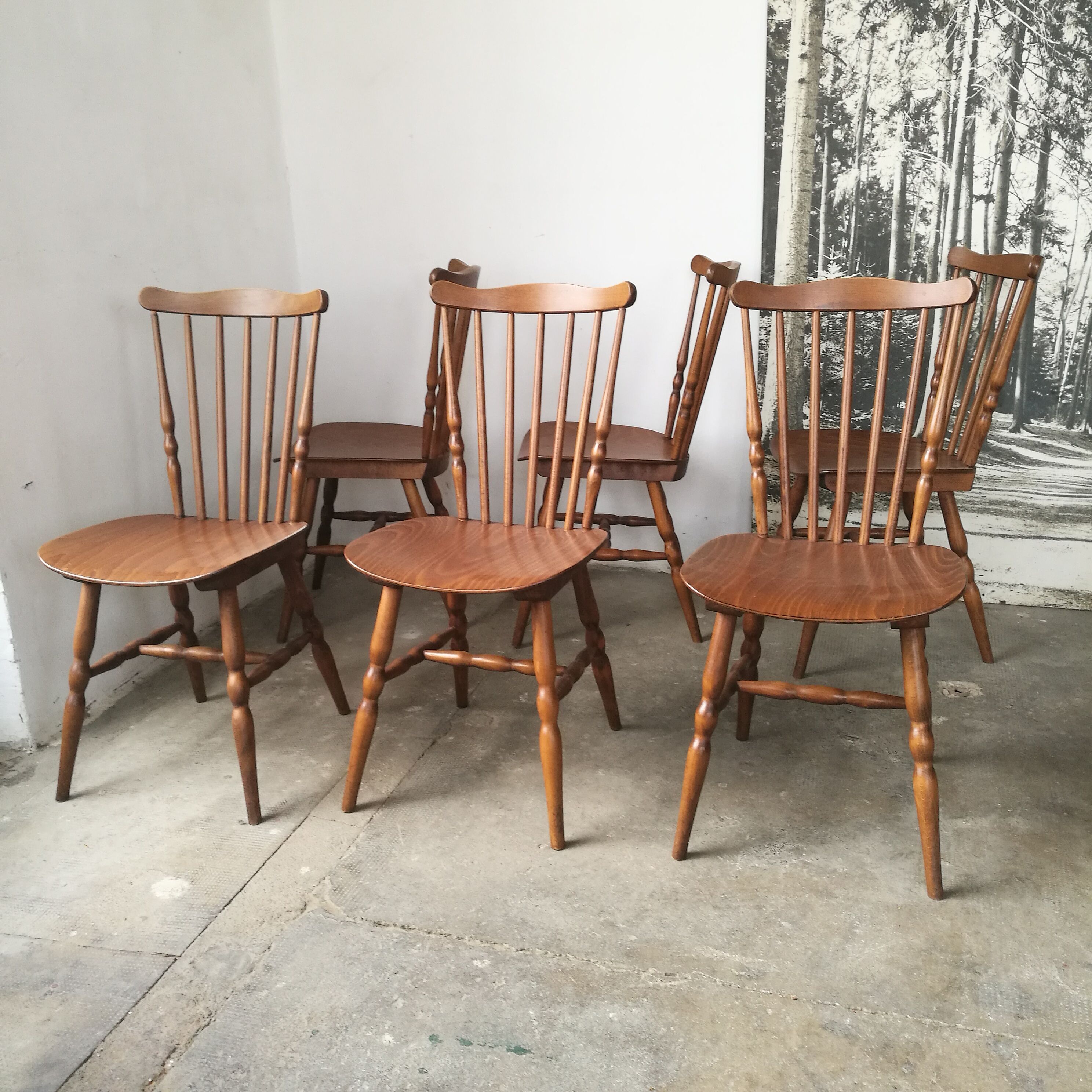 Set of 6 chairs bistro Tacoma by Baumann