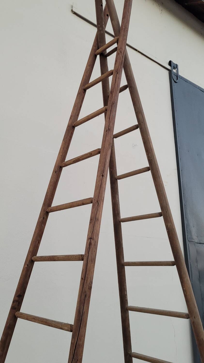 Double ladder for market gardening, fruit harvest, old wooden picking - 3m65