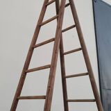 Double ladder for market gardening, fruit harvest, old wooden picking - 3m65