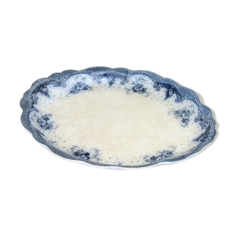 Deish english selwyn