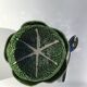 2 bowls slurry cabbage