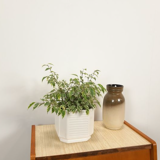 White vintage pot cover with stripes