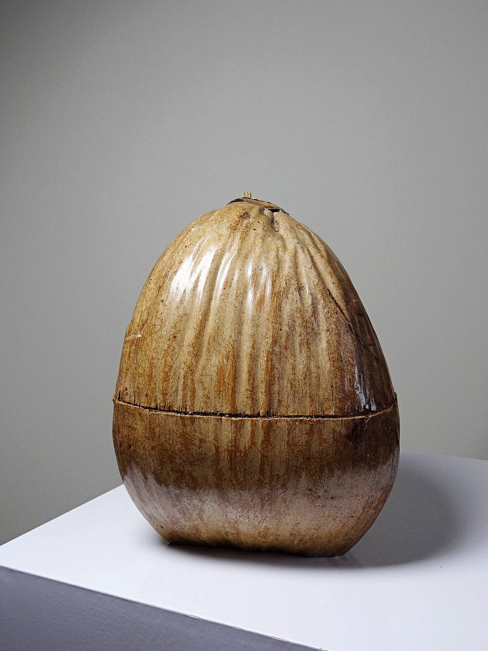 Curiosity vintage box from the 50s-60s, naturalised coconut ice bucket.