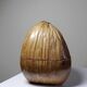Curiosity vintage box from the 50s-60s, naturalised coconut ice bucket.