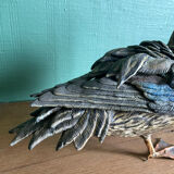 Polychrome terracotta duck