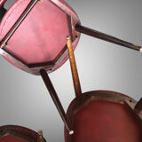 Set of 4 design chairs Pegasus vintage Baumann edition 1960s