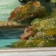 Oil Painting on Panel Vintage Signed CLAUDE SARGUE Landscape 2