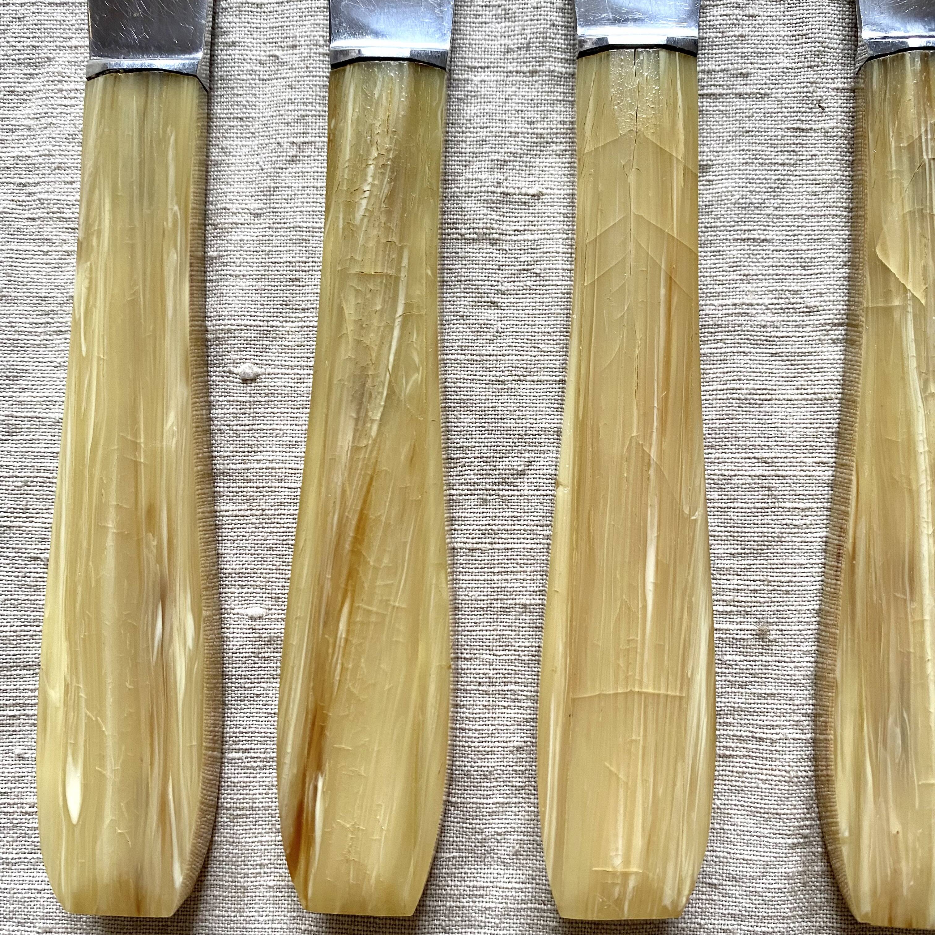 Couteaux en inox et résine vintage