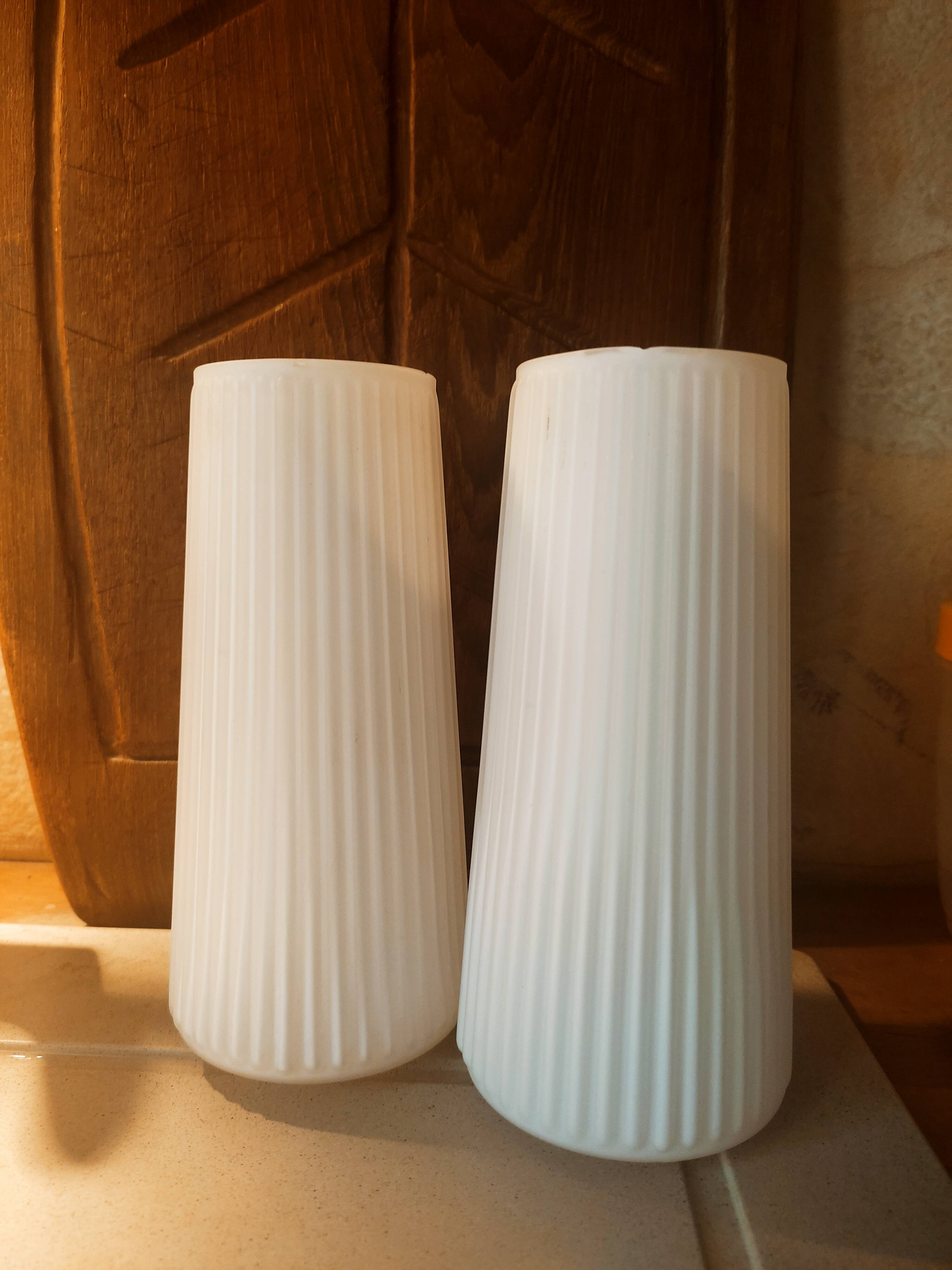 Striated opaline tulips