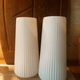 Striated opaline tulips