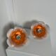 Pair of Flowers wall lights 1970