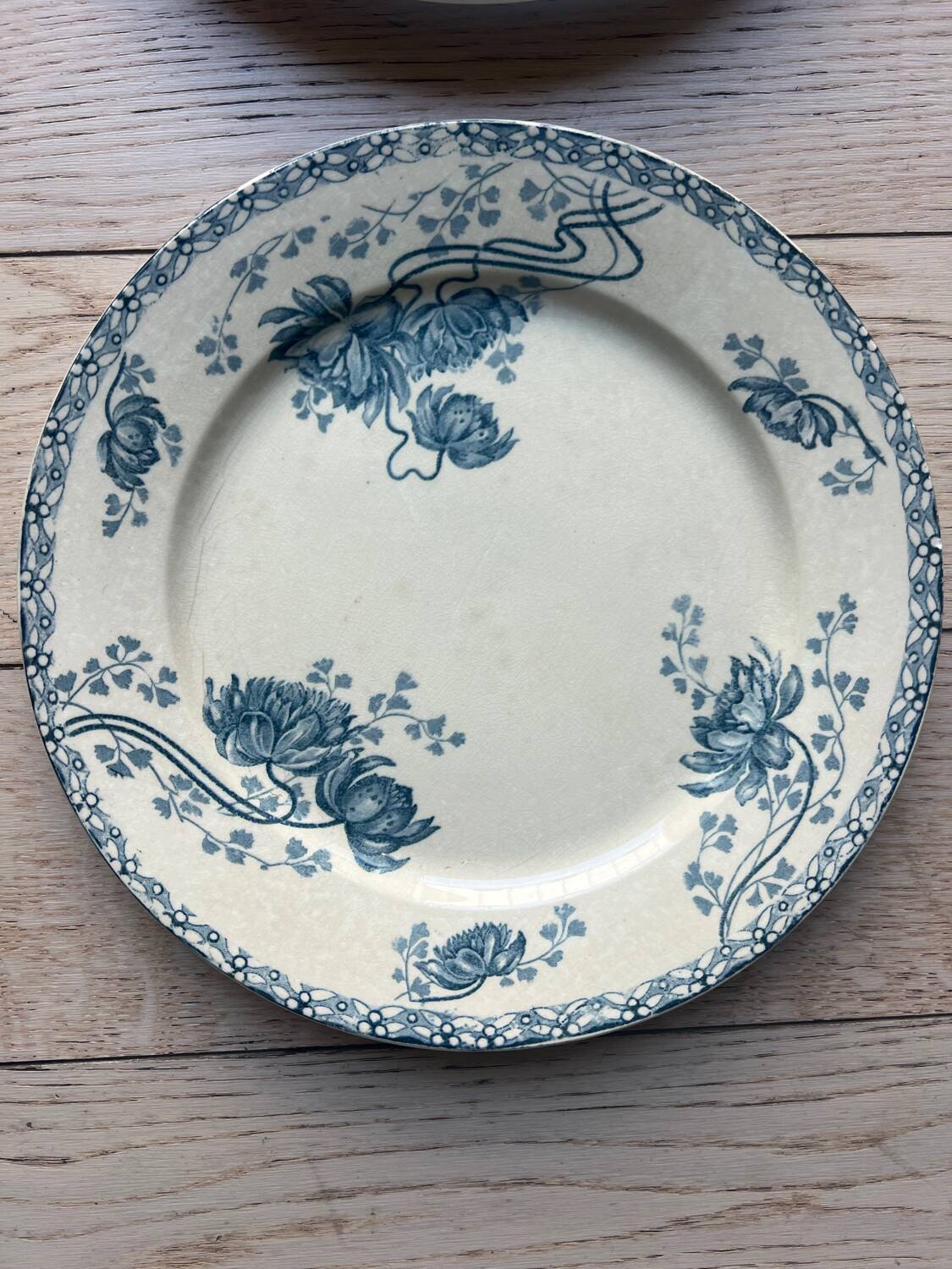 Royat Sarreguemines model flat plates