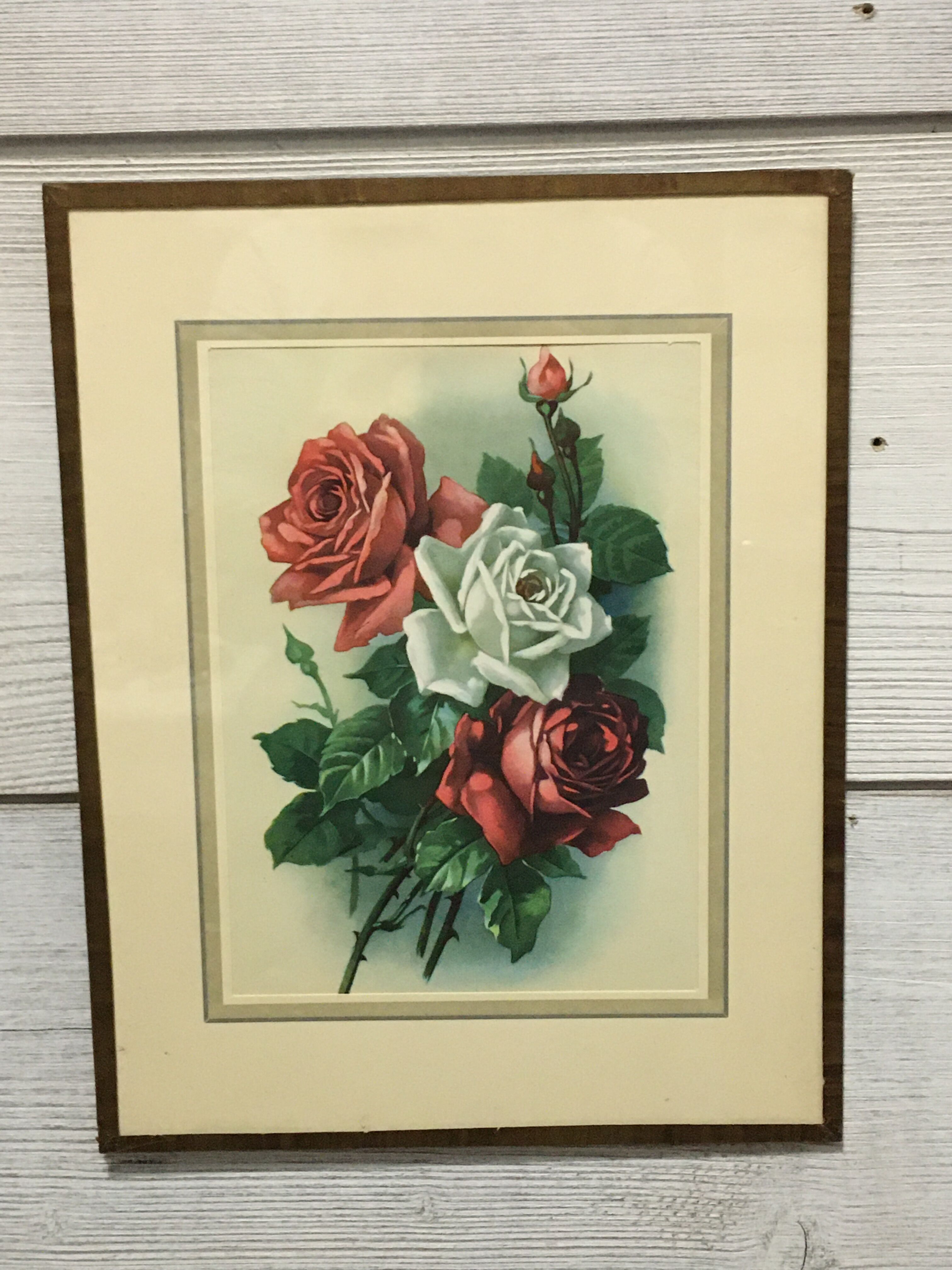 Frame bouquet of roses
