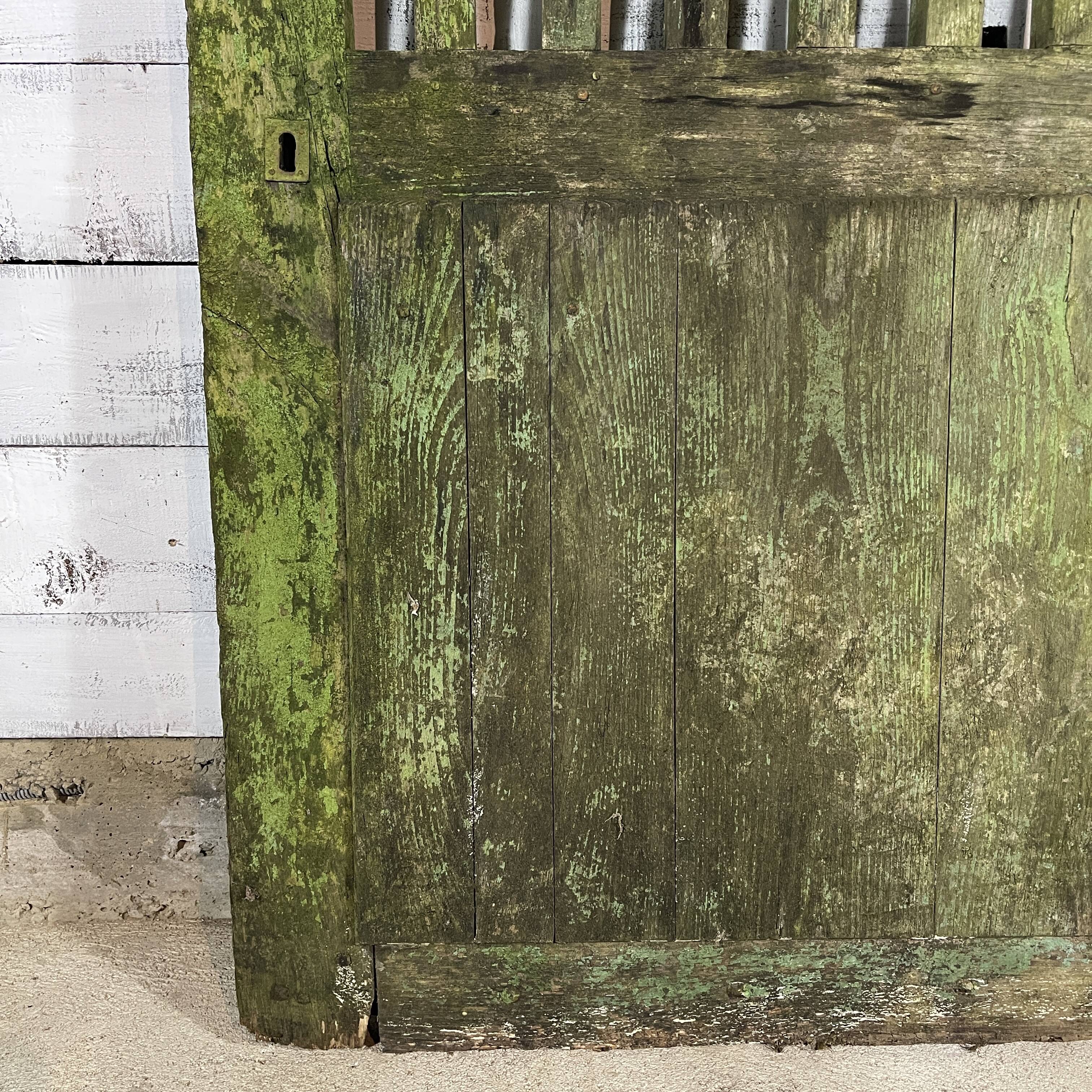 Barn door 164 x 95