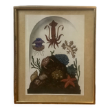 Framed illustration corals under globe