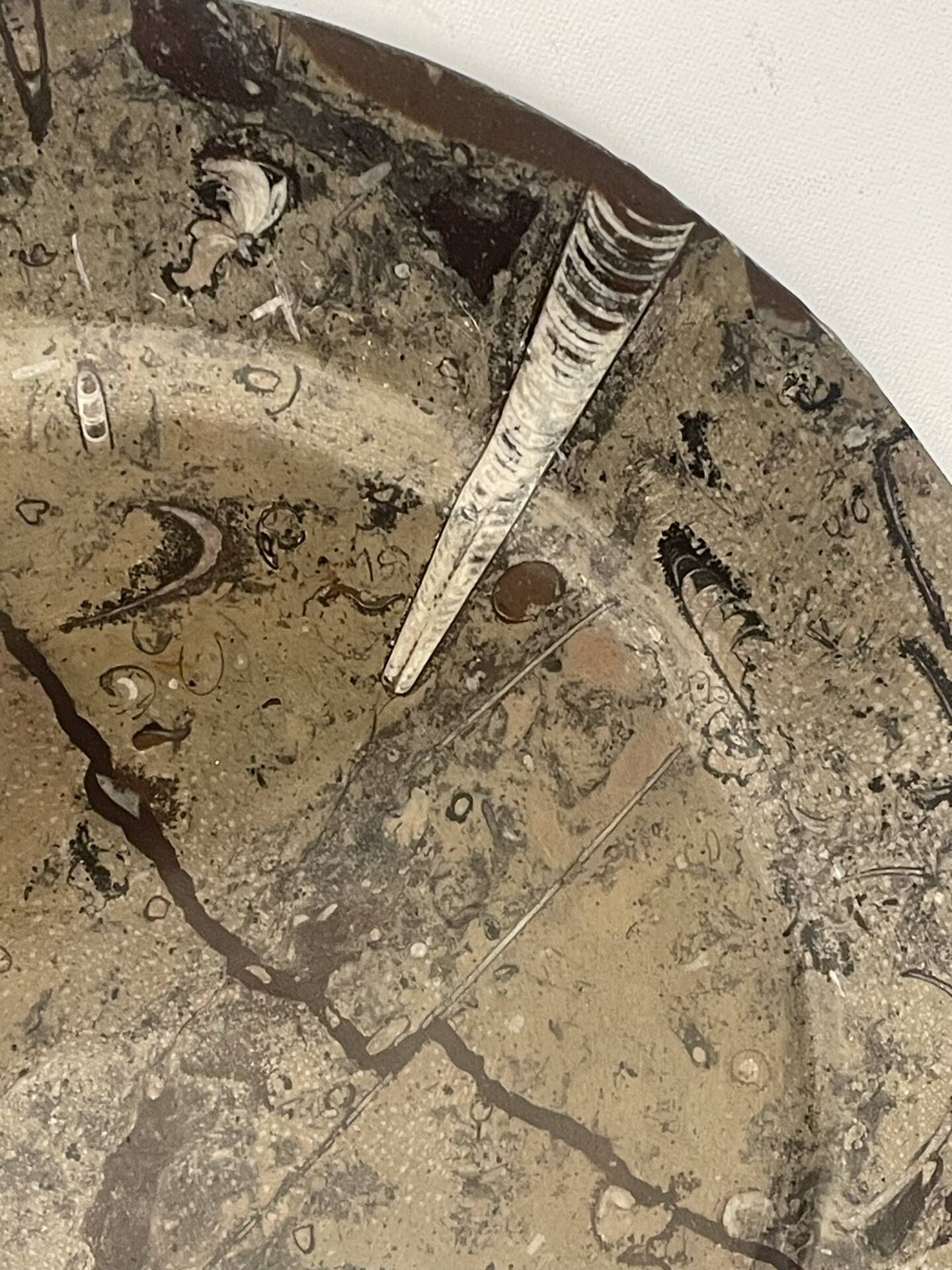 Round plate, fossil marble catch-all 35cm