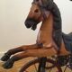 Cheval tricycle
