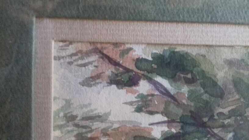 Aquarelle " arbre penché "