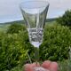 Set of 10 VILLEROY ET BOCH crystal liqueur glasses. Concorde model.