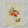 Ancienne gravure botanique 19eme double face colorée mains France