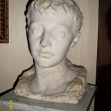Bust young man