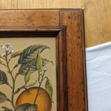 Tableau aux oranges et son cadre en bois