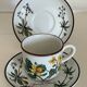 Cup Chelidonium Majus & Saucer Asperula Odorata - Villeroy & Boch Botanica
