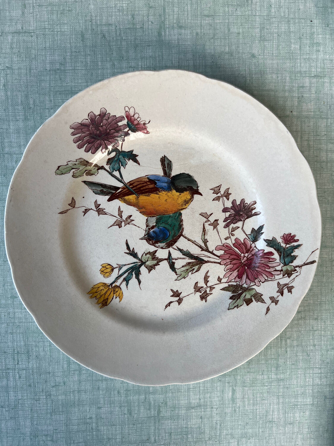 6 polychrome flat plates HB&Cie Choisy Le Roi