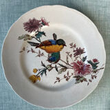 6 polychrome flat plates HB&Cie Choisy Le Roi
