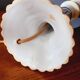 1950s/60s Earthenware Lamp Base