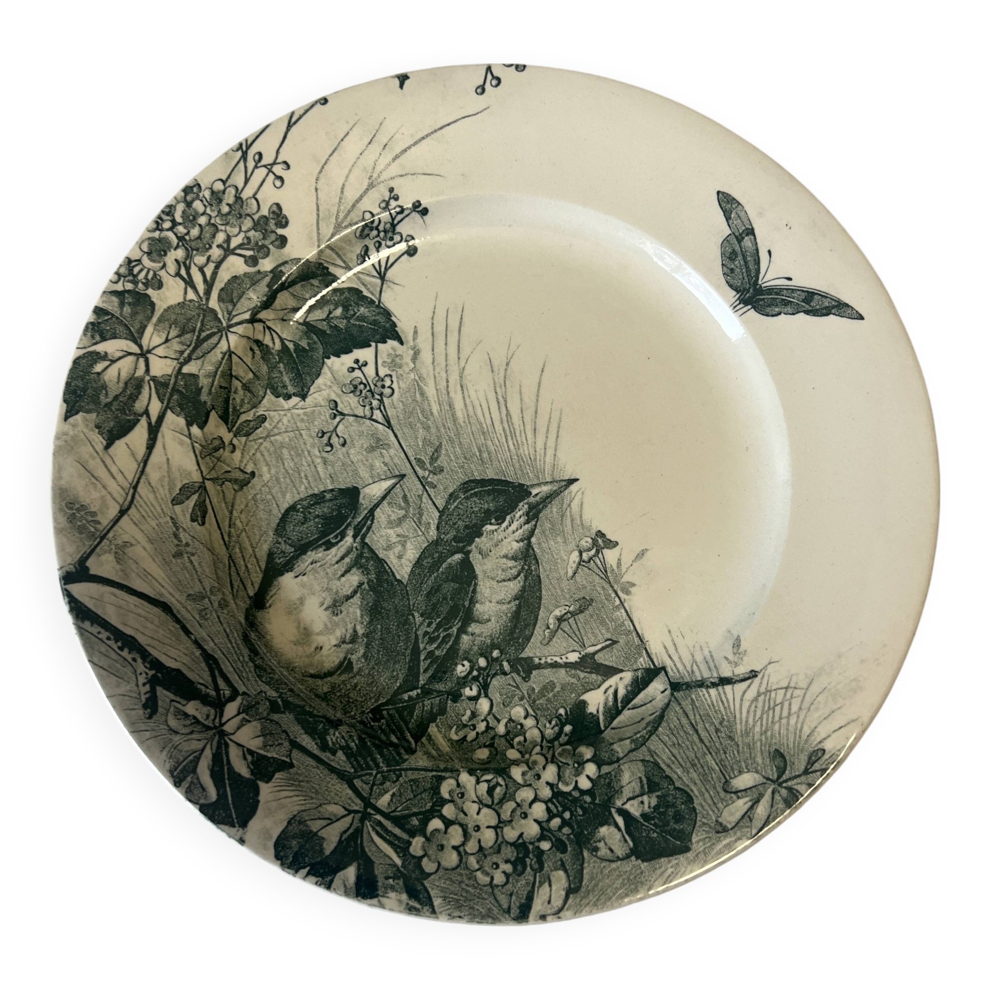 Jules Vieillard Bordeaux flat plate