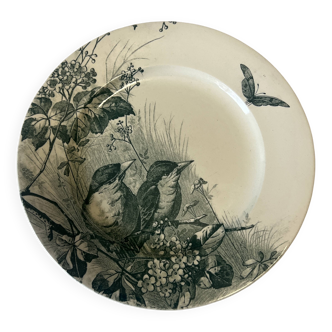 Jules Vieillard Bordeaux flat plate