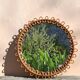 Rattan mirror by Franco Albini