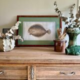 Old lithograph Morubel, the turbot