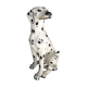Dalmatian dog life size ceramic italian work circa 1970