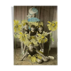 Photograph of five girls disguised as sunflowers