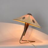 Large Rare Table or Wall Lamp by Helena Frantova for OKOLO, Czechoslovakia, 1950's