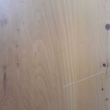 19th century Irish style office