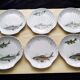 6 Assiettes à poisson en porcelaine de Sologne