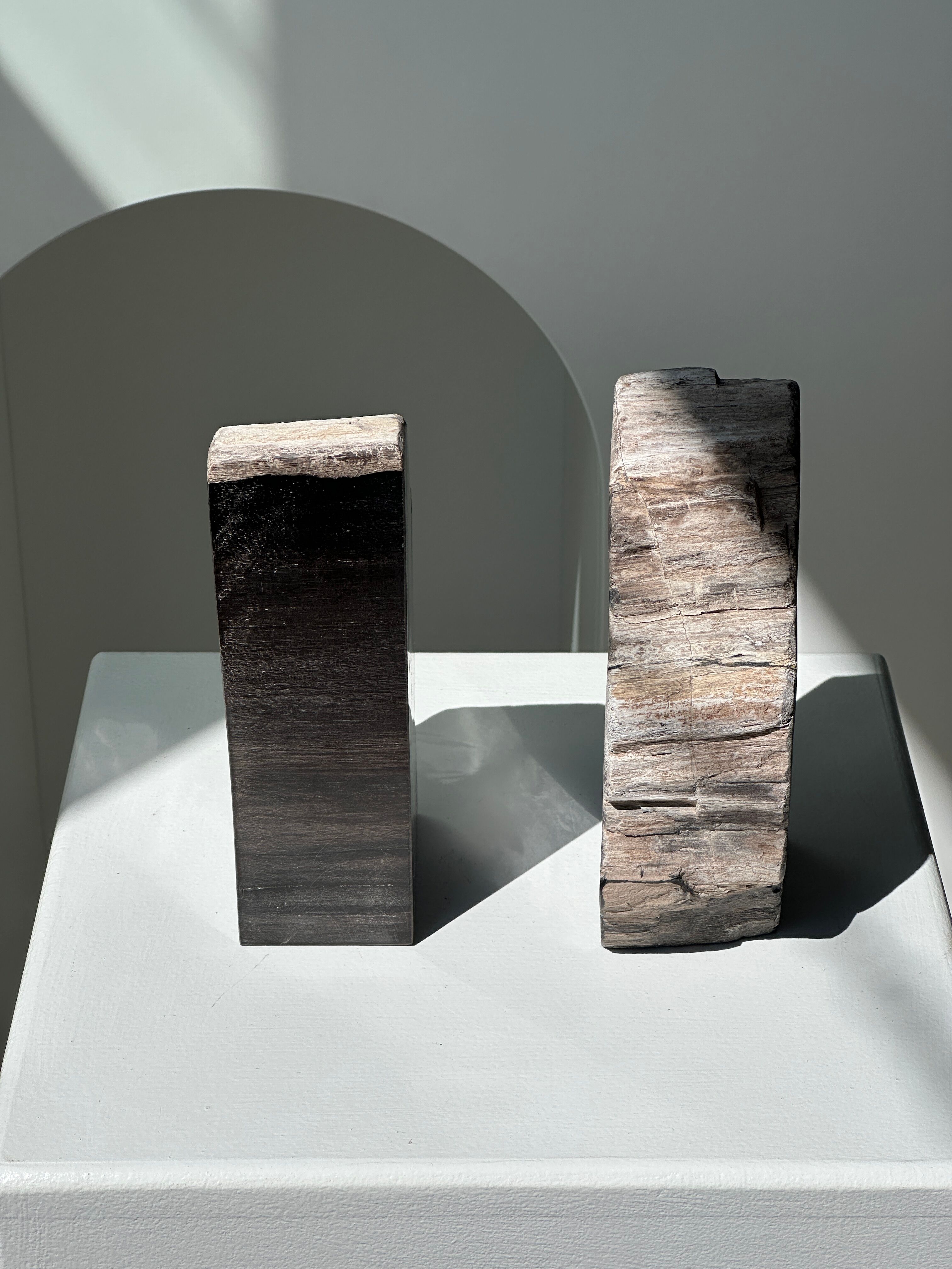 Black petrified wood bookend H17 L17 P6