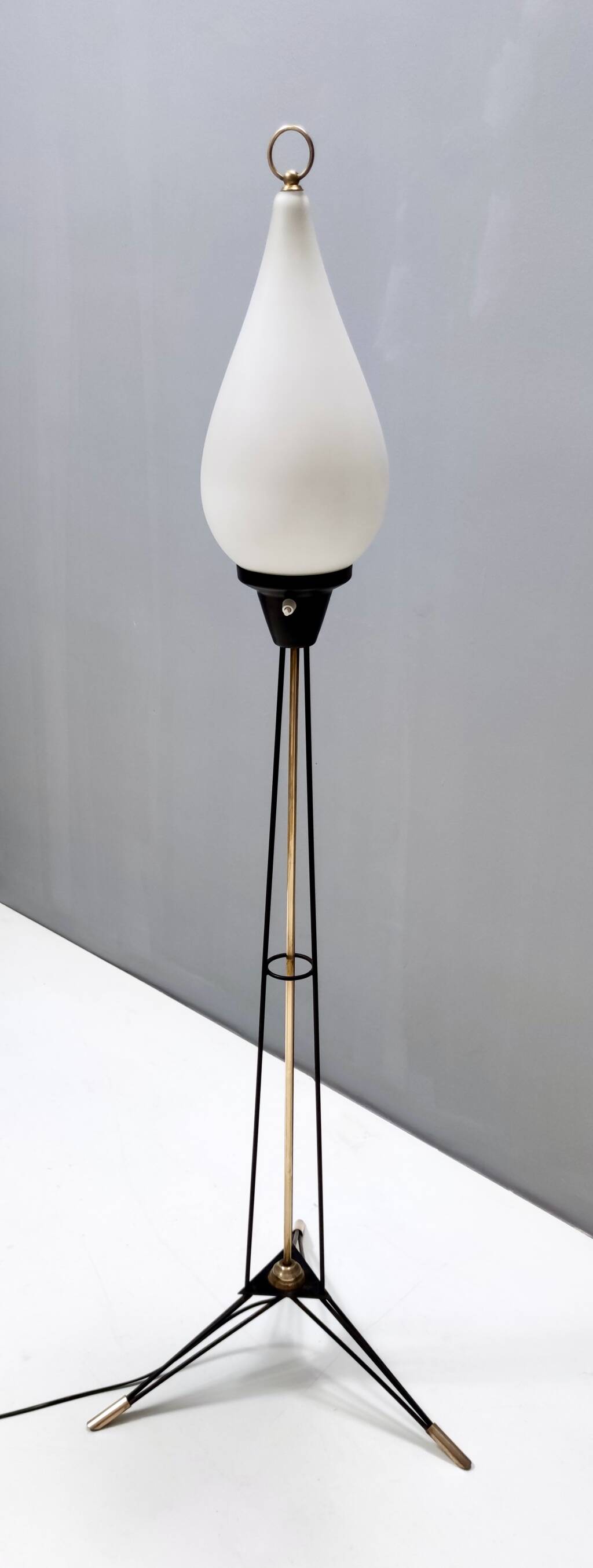 White Opaline Glass and Black Iron Floor Lamp by Stilnovo, Italy