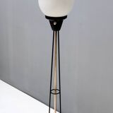 White Opaline Glass and Black Iron Floor Lamp by Stilnovo, Italy